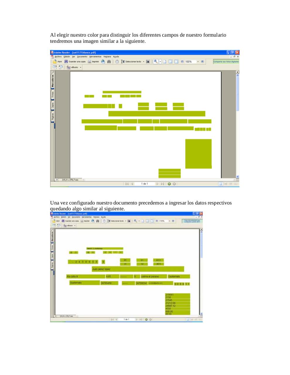 Vista previa del archivo PDF guiausuarioformulario.pdf