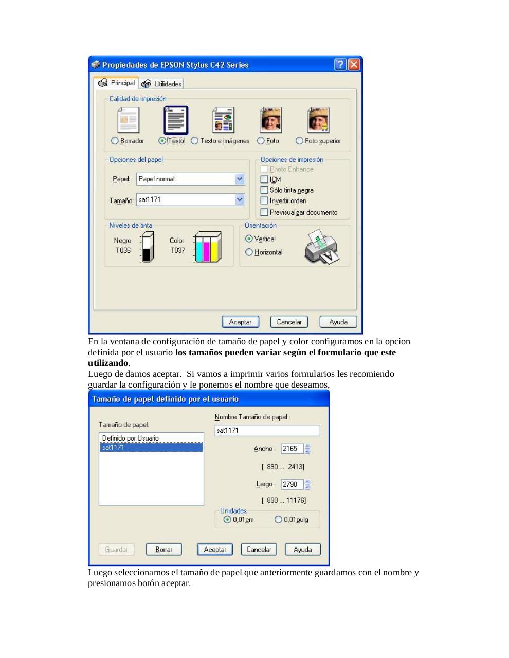 Vista previa del archivo PDF guiausuarioformulario.pdf