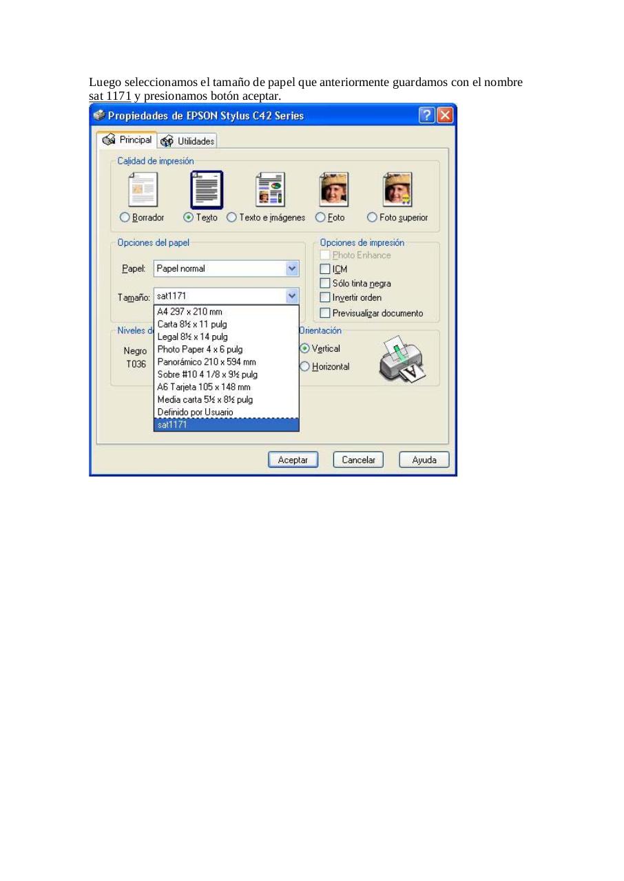 Vista previa del archivo PDF manualformulariosa117.pdf