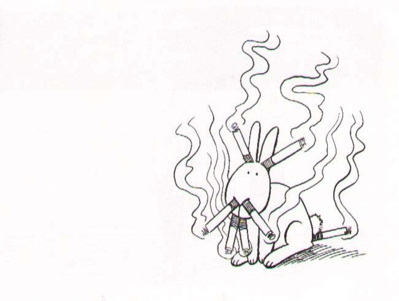 Vista previa del archivo PDF the-book-of-the-bunny-suicides.pdf