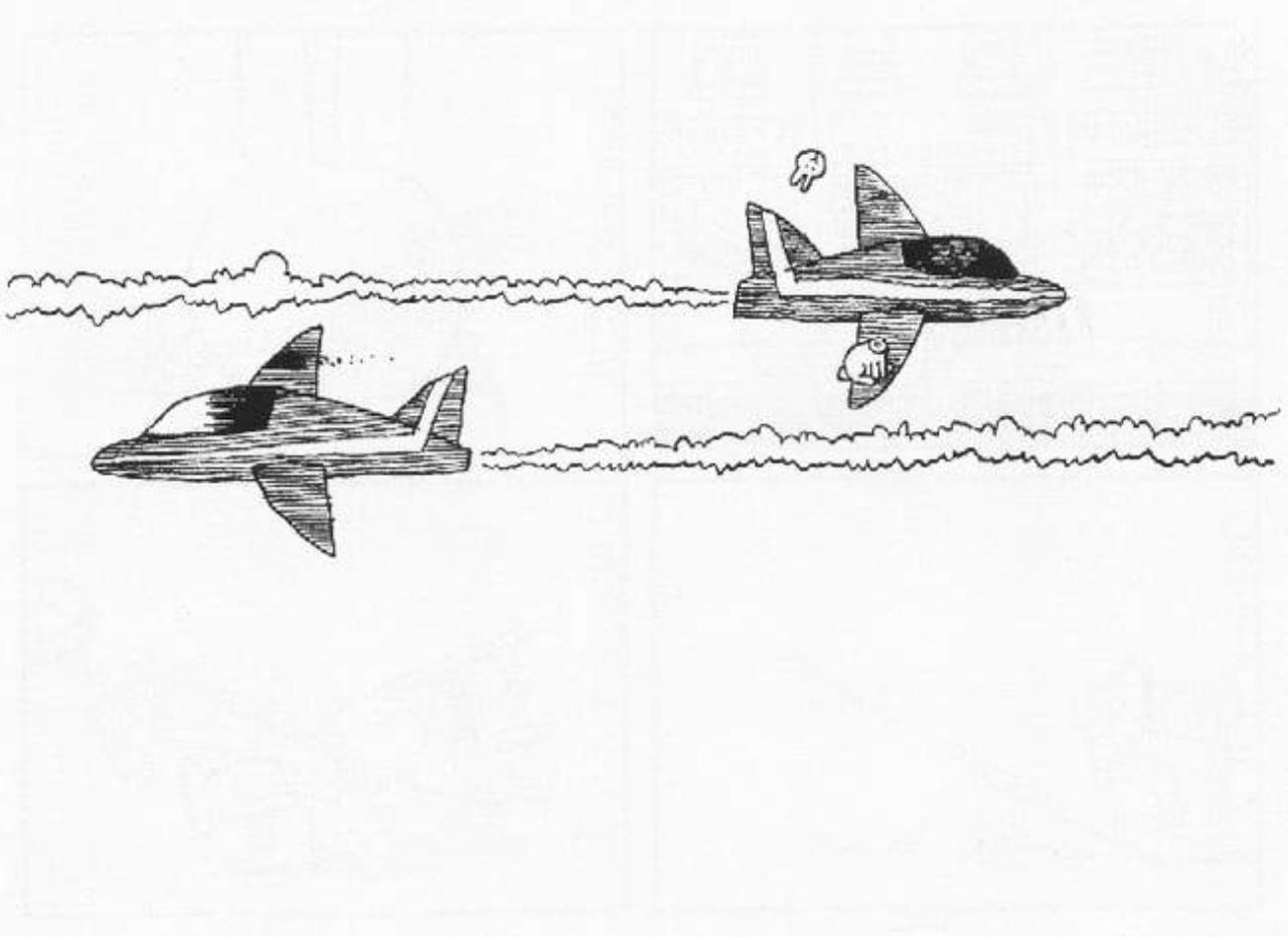 Vista previa del archivo PDF the-book-of-the-bunny-suicides.pdf