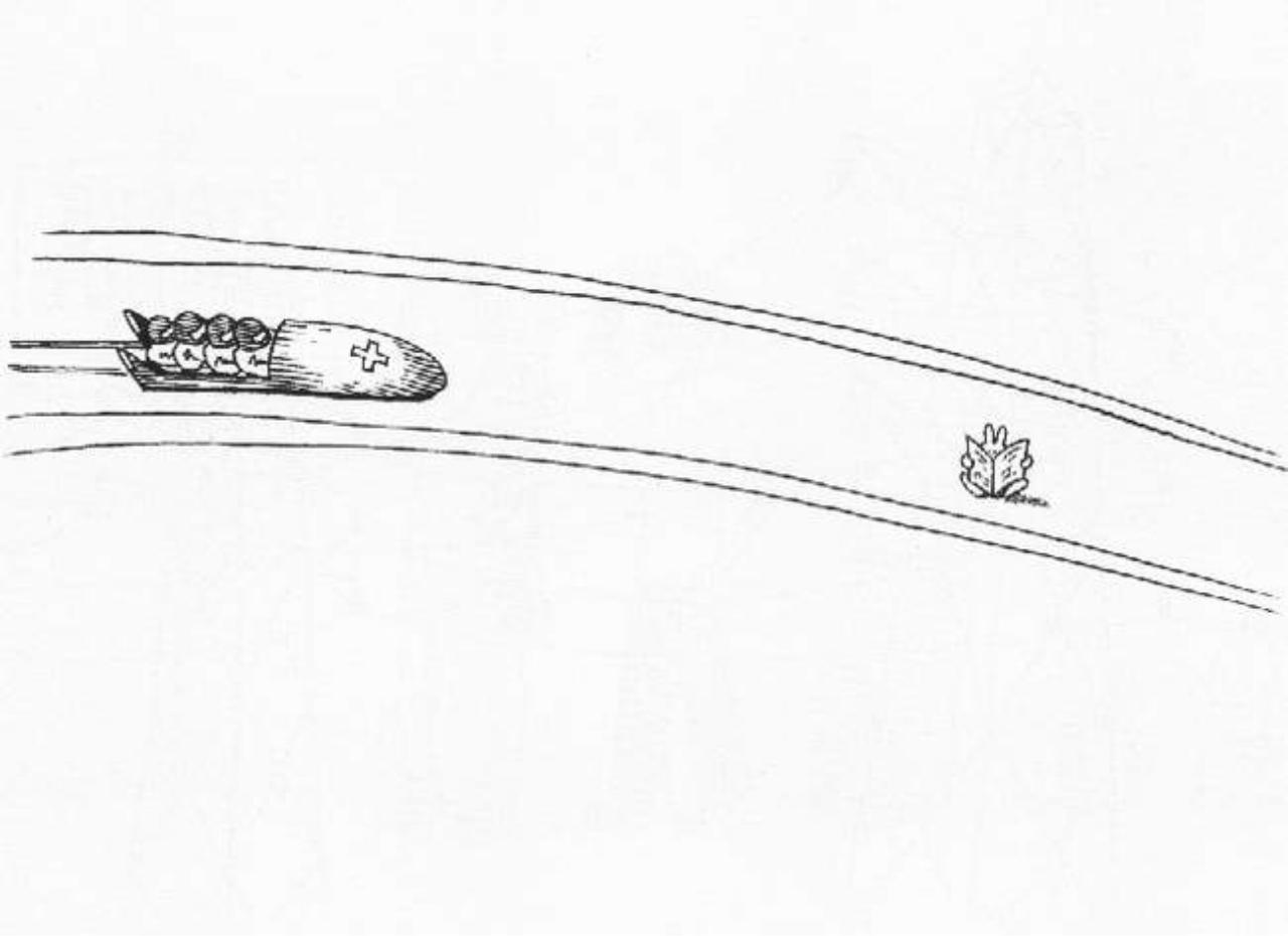 Vista previa del archivo PDF the-book-of-the-bunny-suicides.pdf