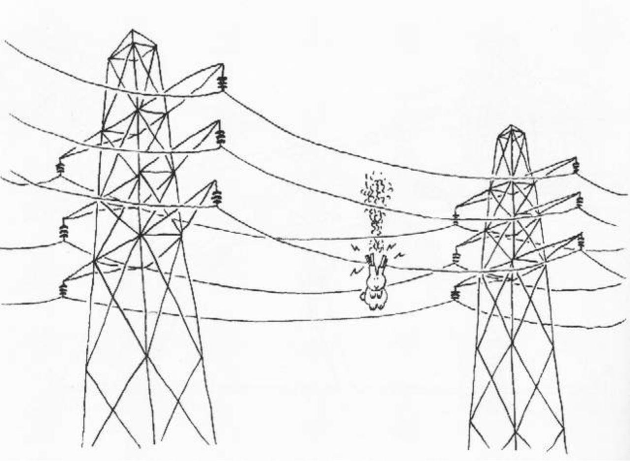 Vista previa del archivo PDF the-book-of-the-bunny-suicides.pdf