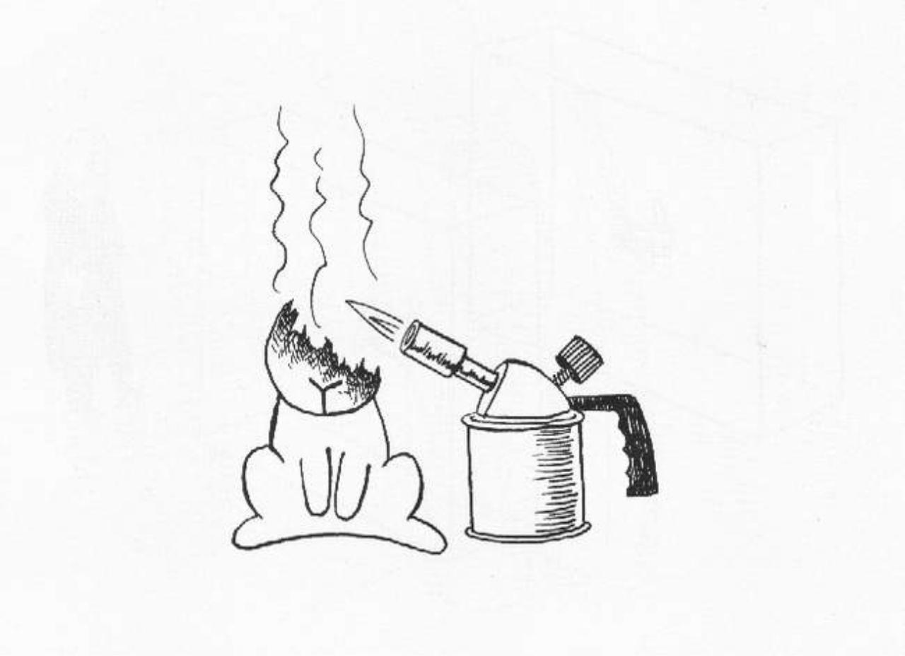 Vista previa del archivo PDF the-book-of-the-bunny-suicides.pdf