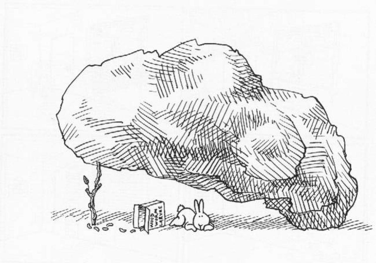 Vista previa del archivo PDF the-book-of-the-bunny-suicides.pdf