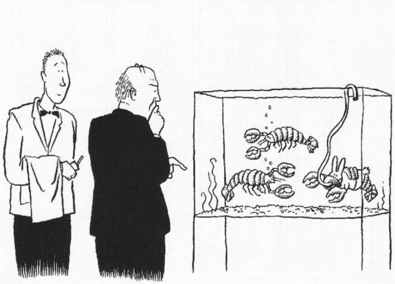 Vista previa del archivo PDF the-book-of-the-bunny-suicides.pdf