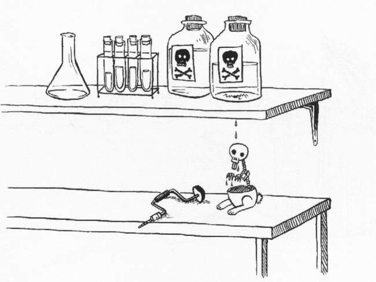 Vista previa del archivo PDF the-book-of-the-bunny-suicides.pdf