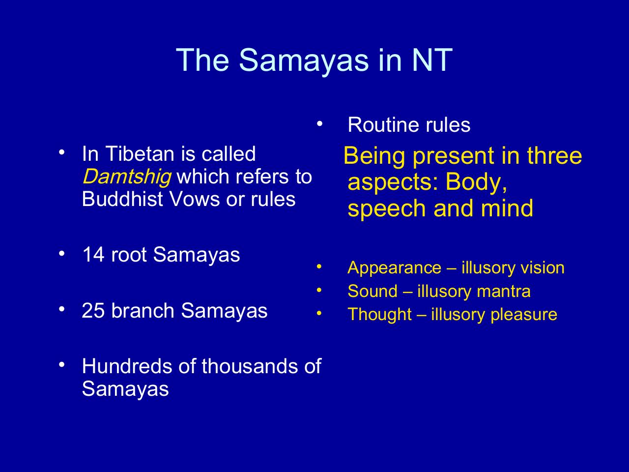 Vista previa del archivo PDF the-ngakpa-tradition.pdf