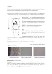 Retrat-Lourdes.pdf - página 4/21