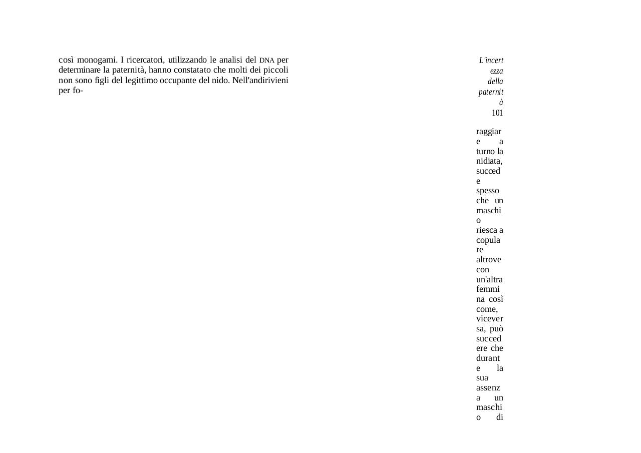 Vista previa del archivo PDF tiamerosemprepieroangela.pdf