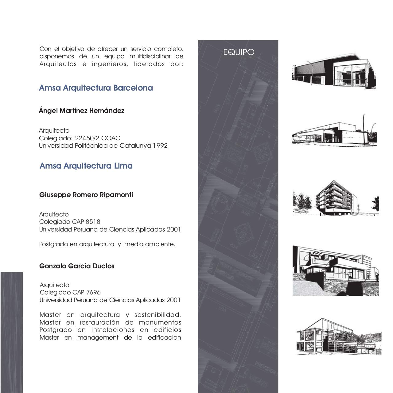 Vista previa del archivo PDF amsaperu.pdf