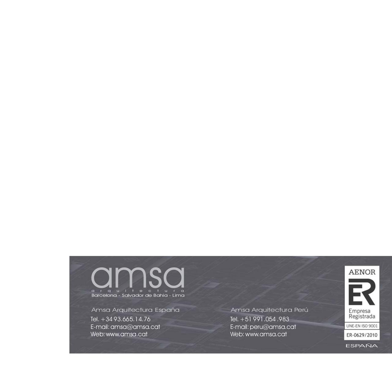 Vista previa del archivo PDF amsaperu.pdf