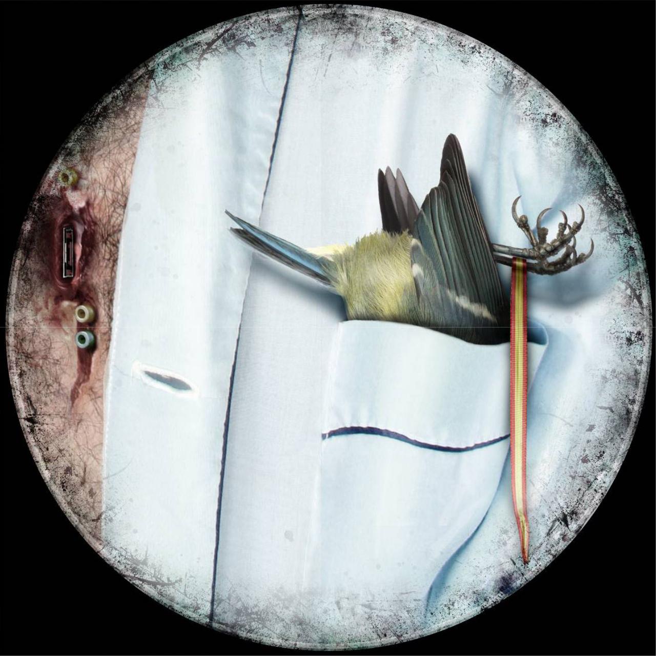 Vista previa del archivo PDF viva-espana.pdf