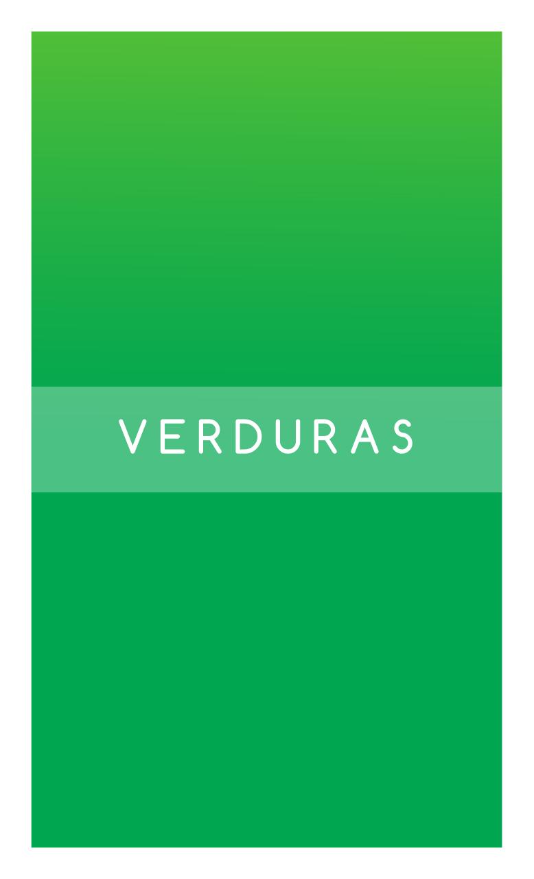 Vista previa del archivo PDF catalogo.pdf