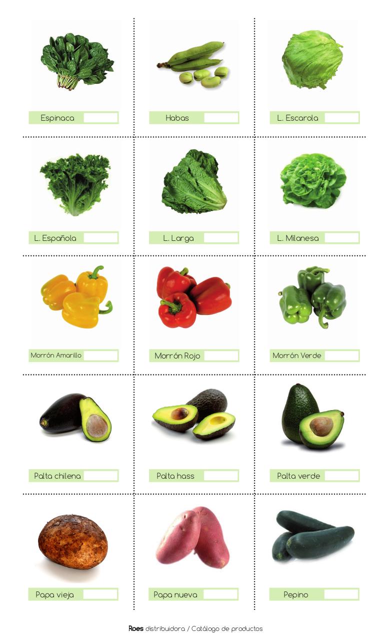 Vista previa del archivo PDF catalogo.pdf