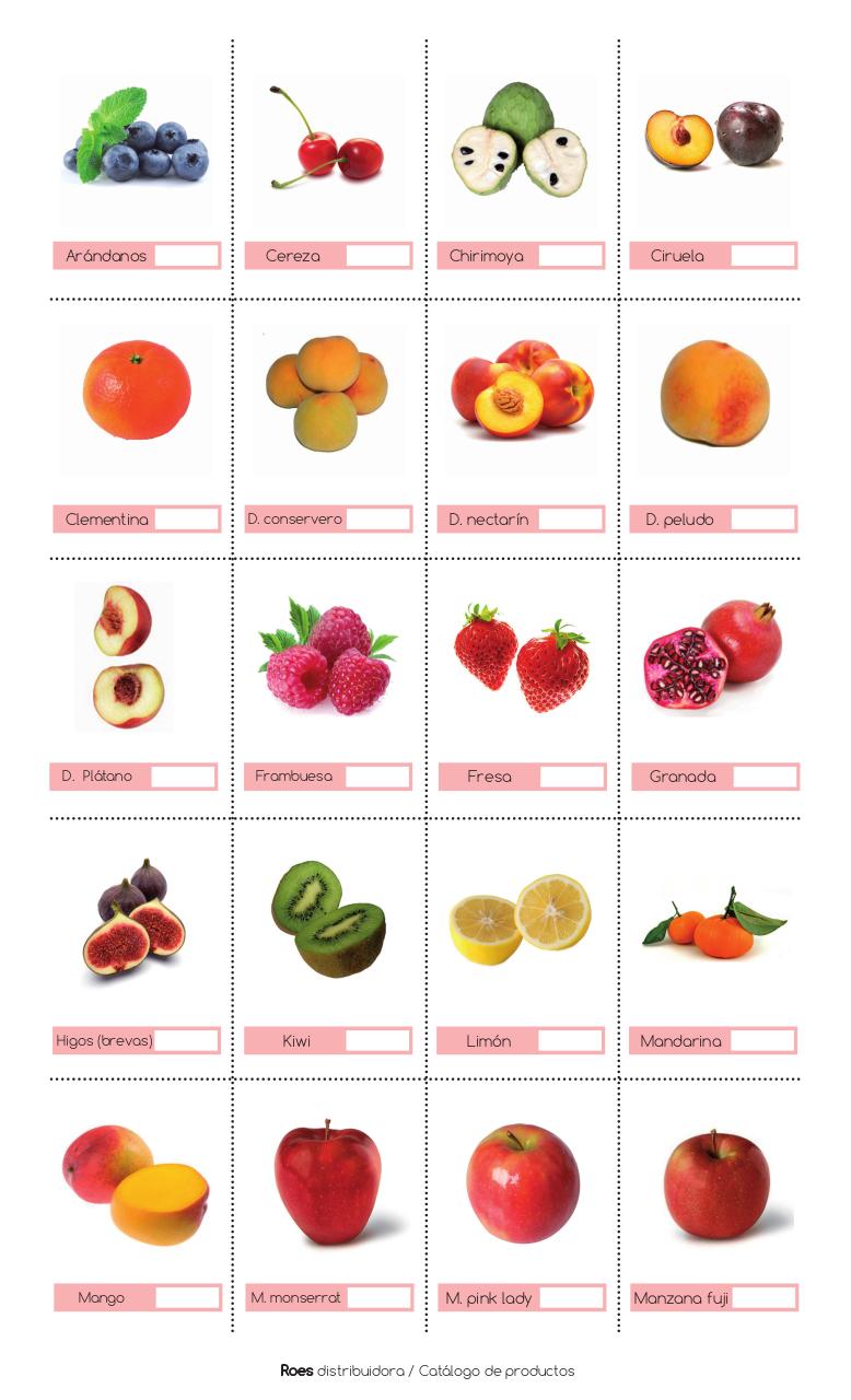 Vista previa del archivo PDF catalogo.pdf