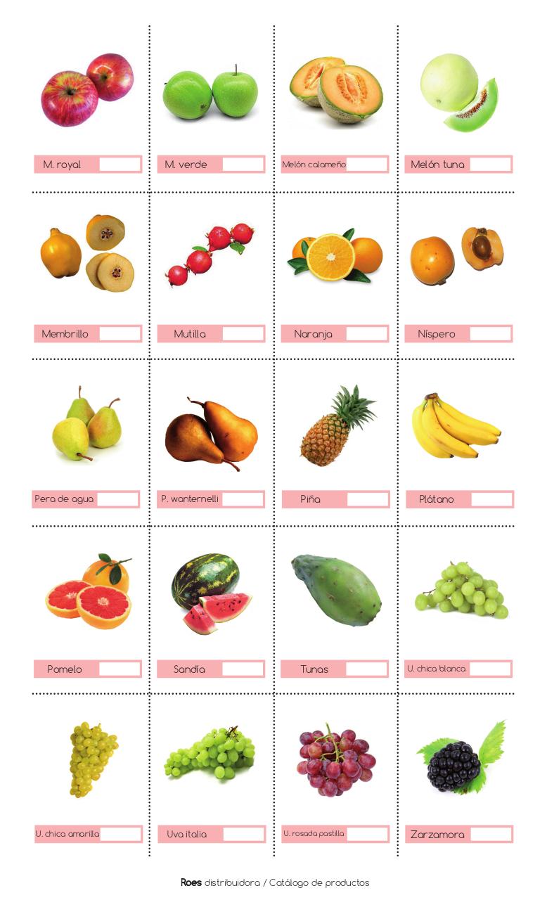 Vista previa del archivo PDF catalogo.pdf