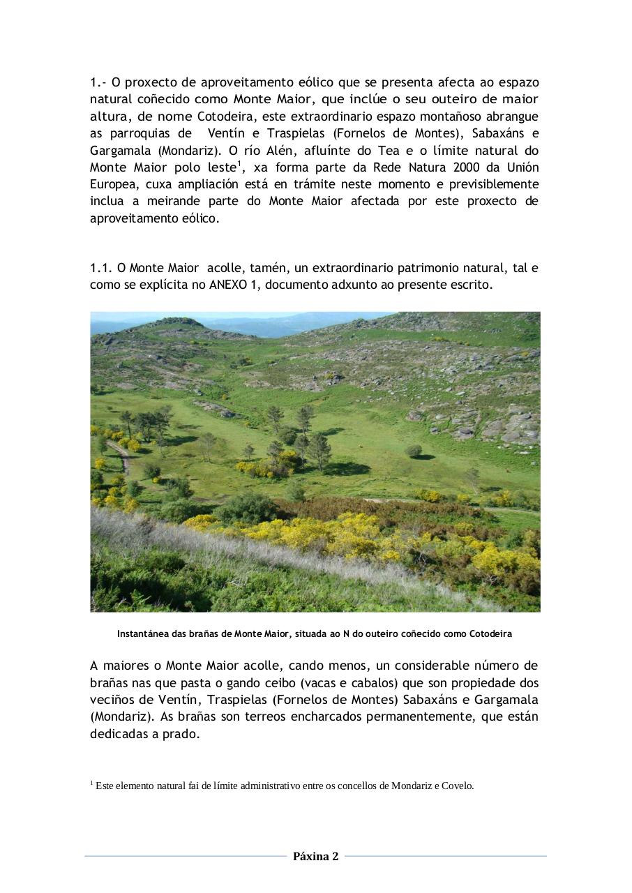 Vista previa del archivo PDF alegaci-n-completa-corrixida.pdf