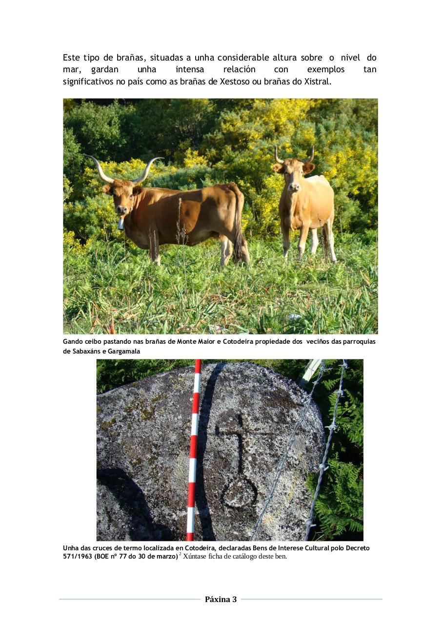 Vista previa del archivo PDF alegaci-n-completa-corrixida.pdf