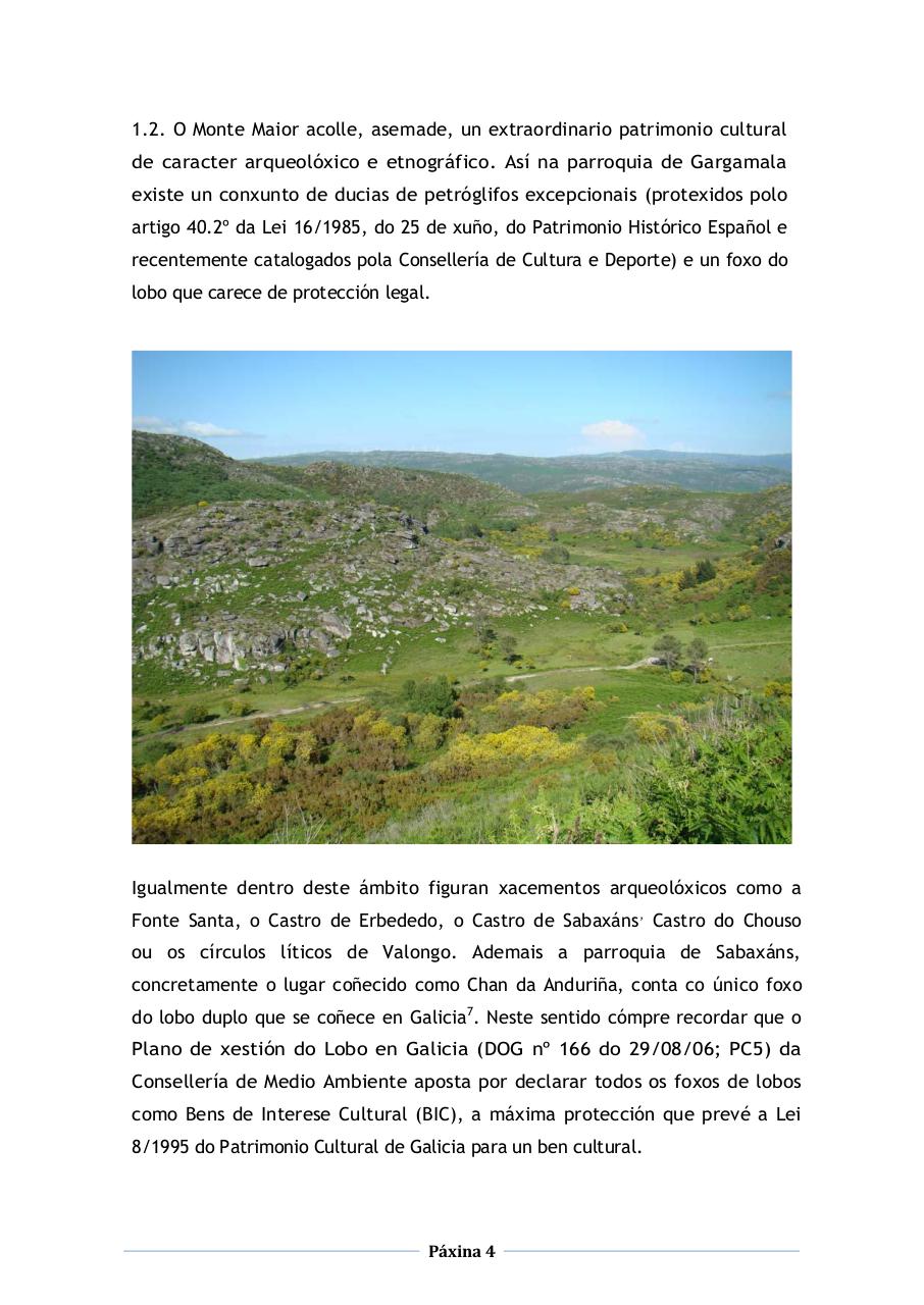 Vista previa del archivo PDF alegaci-n-completa-corrixida.pdf