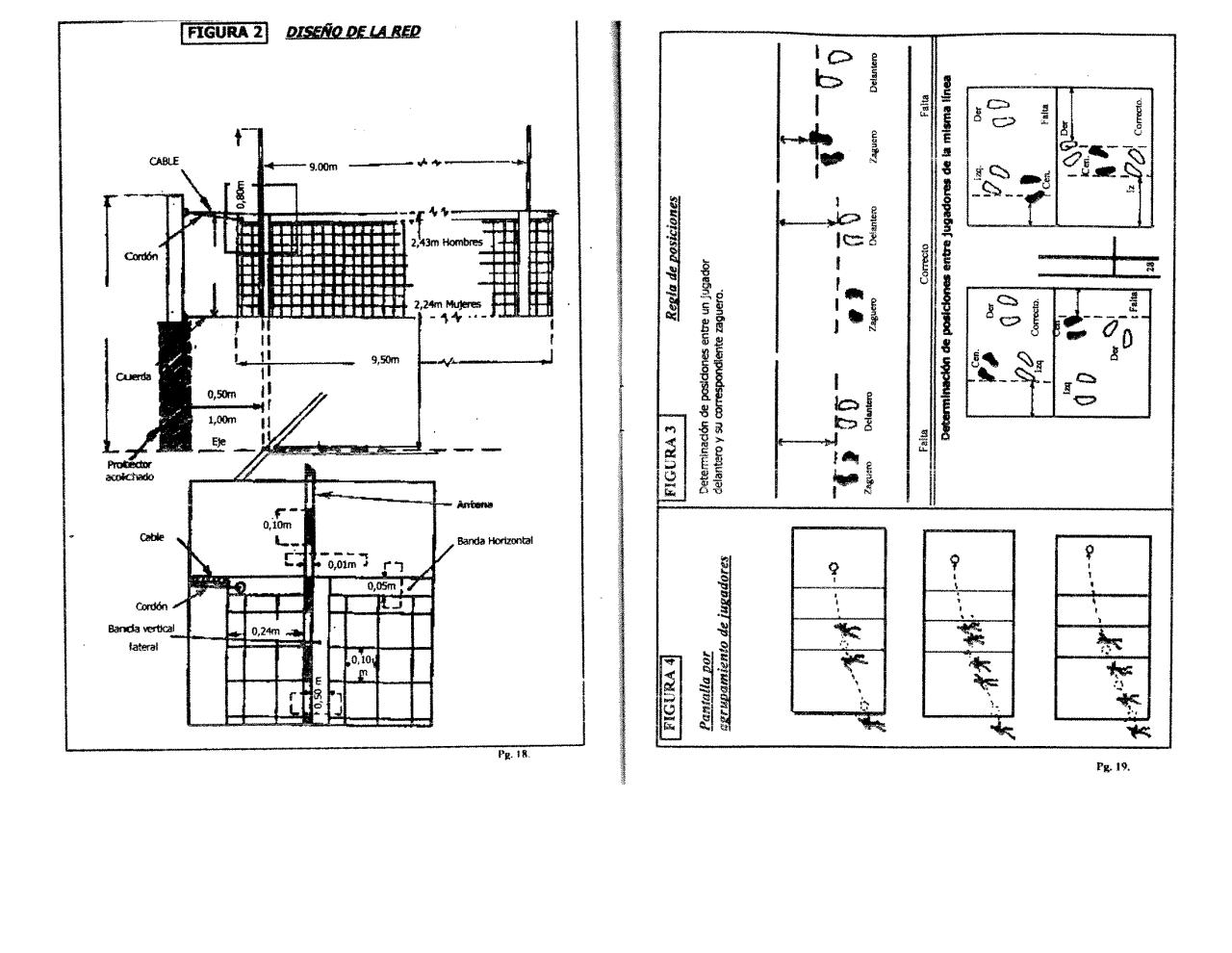 Vista previa del archivo PDF reglamento-newcomball.pdf
