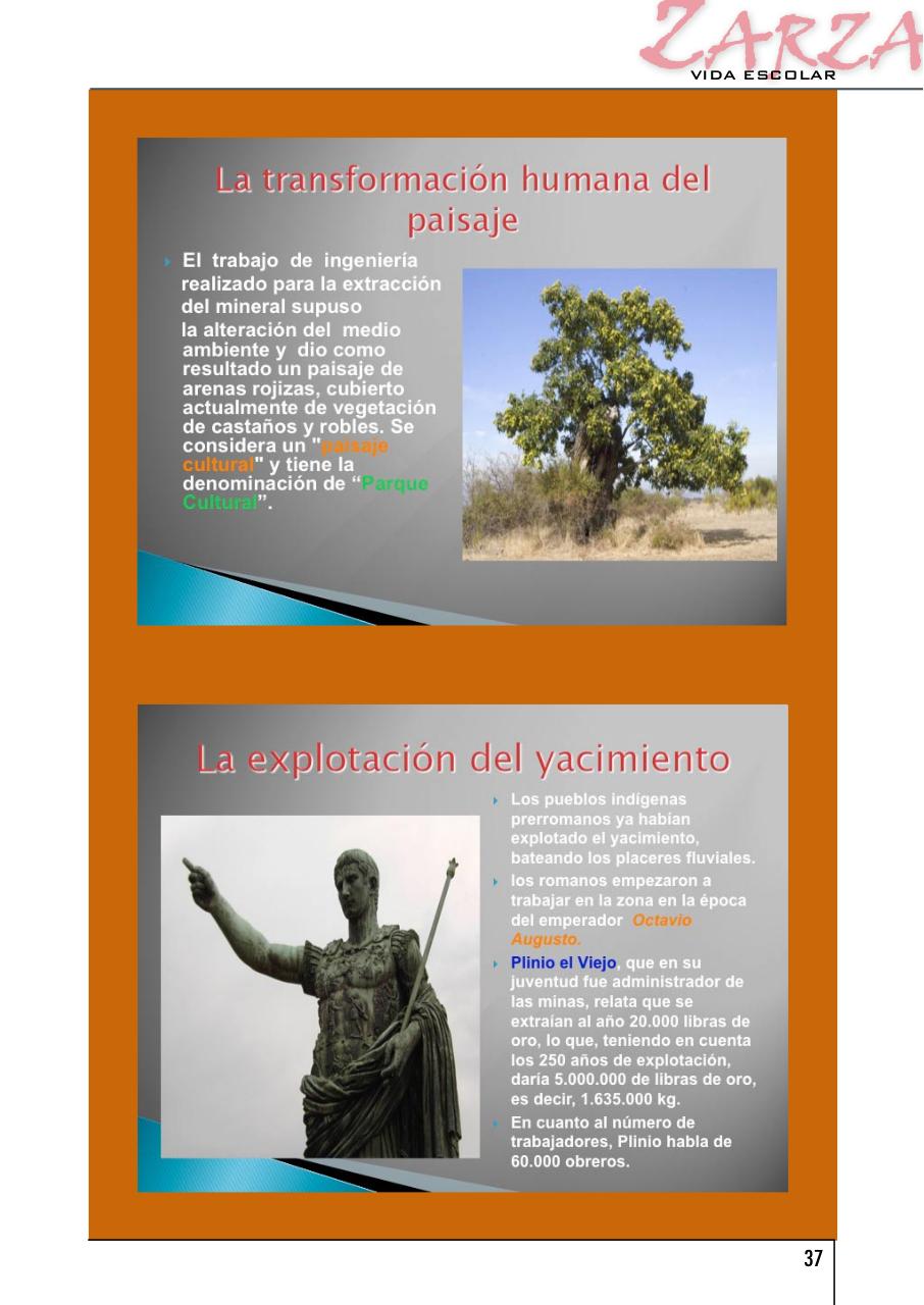 Vista previa del archivo PDF zarza-2012.pdf