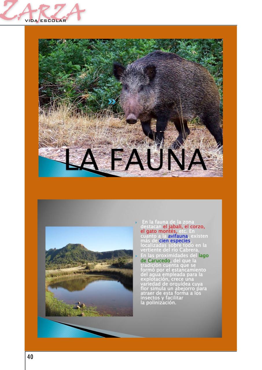 Vista previa del archivo PDF zarza-2012.pdf