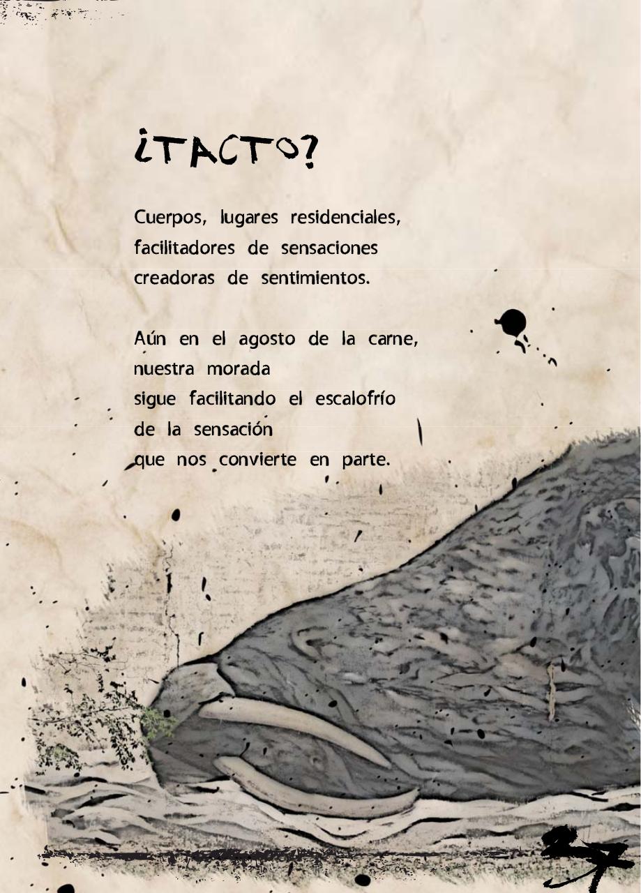 Vista previa del archivo PDF desollado-gaceta-versicular-sock.pdf