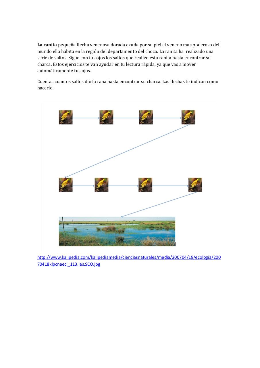Vista previa del archivo PDF cartilla-hacia-el-desarrollo-de-procesos-lectores.pdf