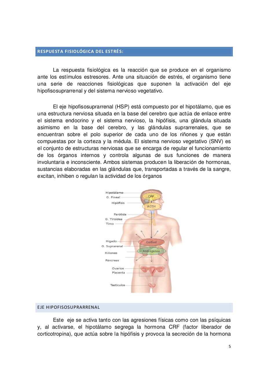 Vista previa del archivo PDF curso-estres.pdf
