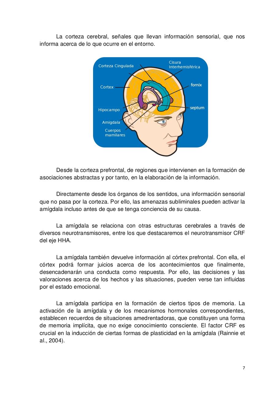 Vista previa del archivo PDF curso-estres.pdf