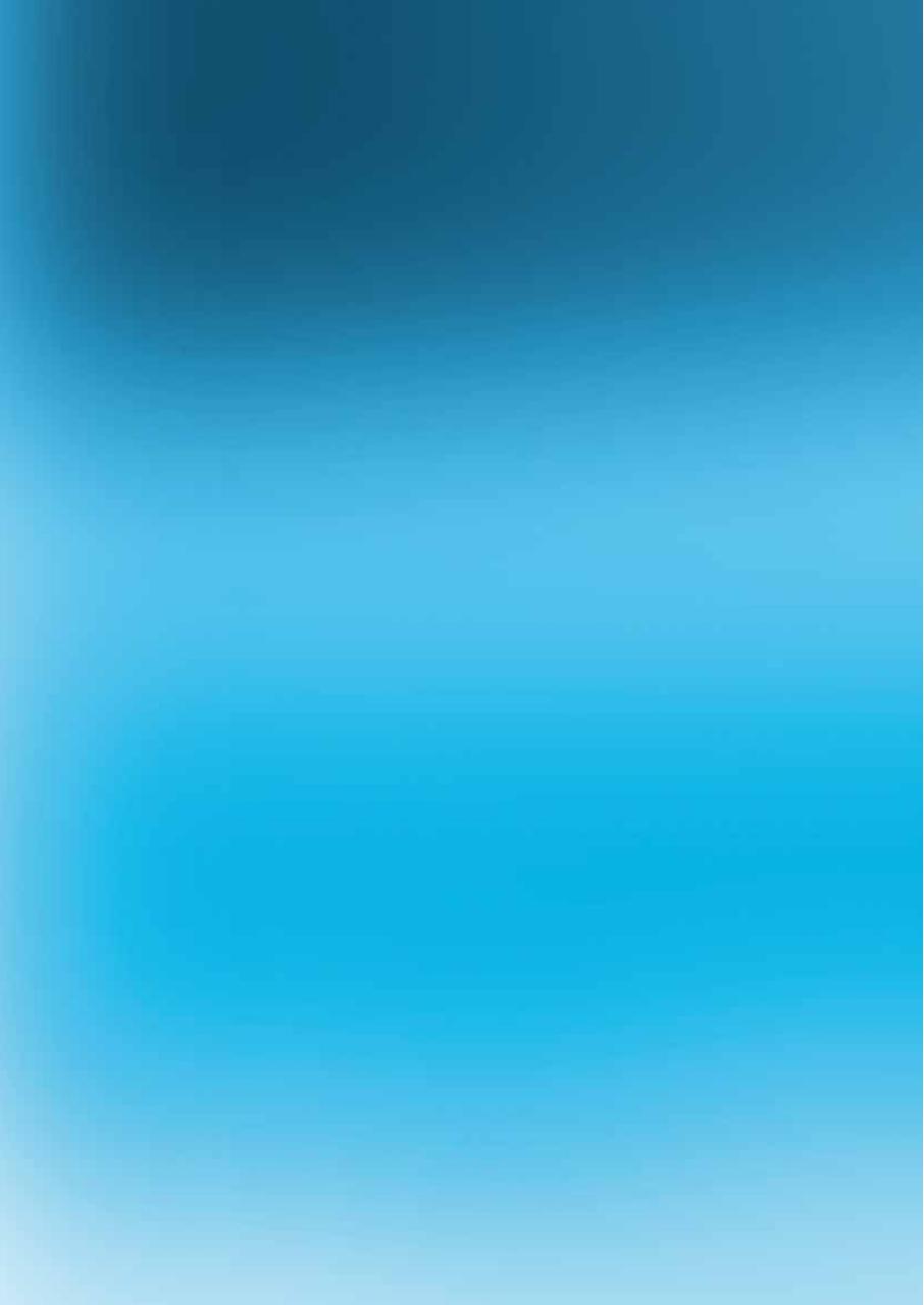 Vista previa del archivo PDF programadelpp.pdf