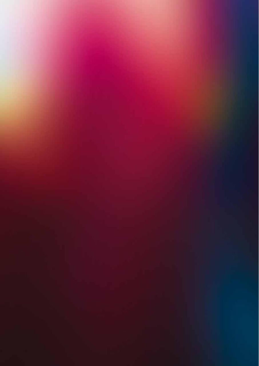 Vista previa del archivo PDF programadelpp.pdf