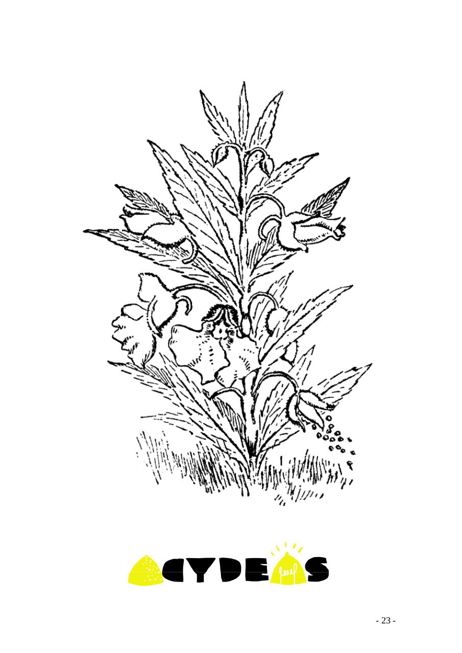 Vista previa del archivo PDF recetas-tradicionales-para-dolencias.pdf