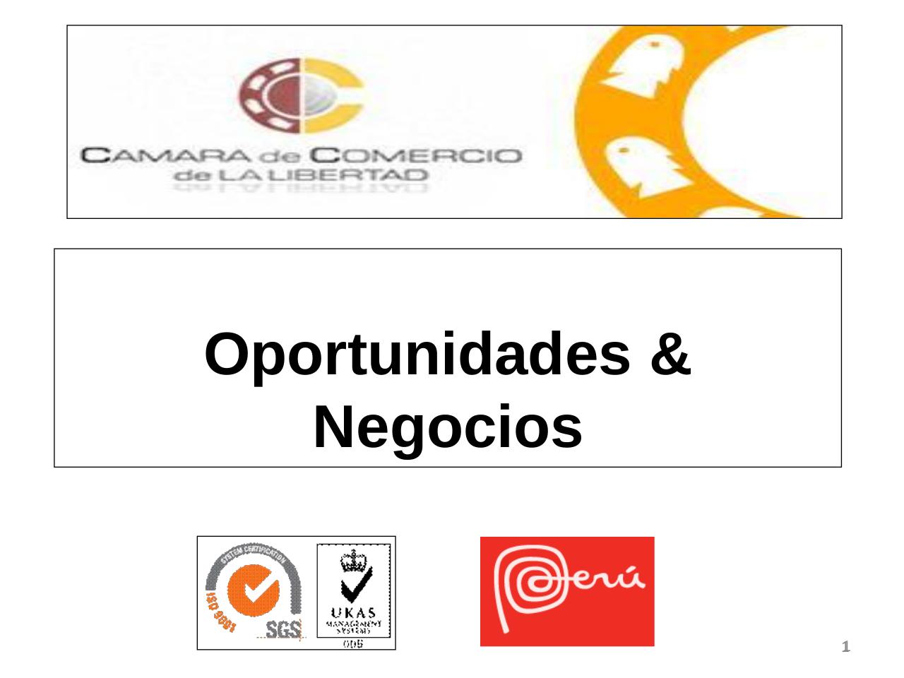 37.1.Oportunidades y Negocios.pdf - página 1/8