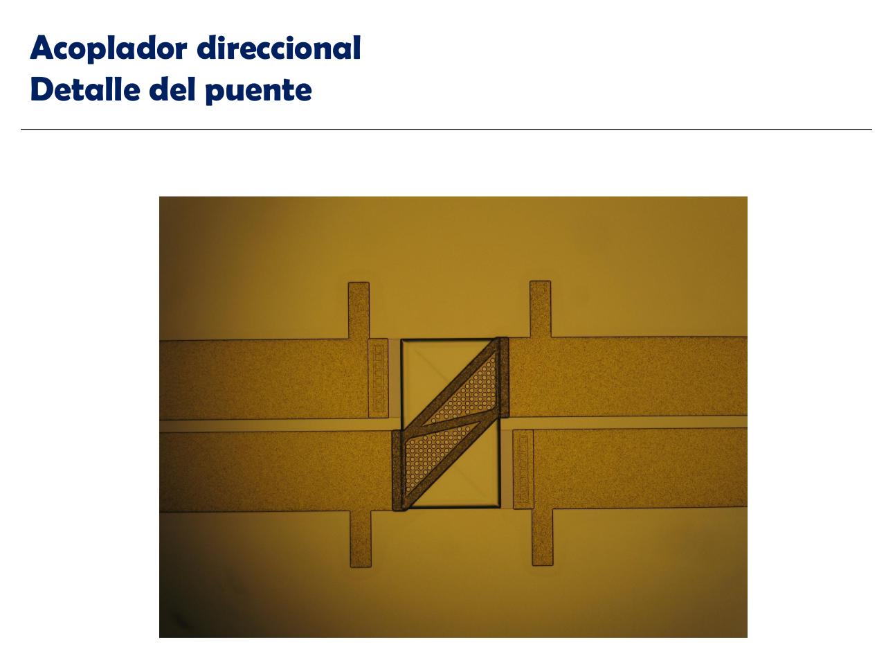 Vista previa del archivo PDF diseno-microelectr-nico-en-frh-por-facundo-larosa.pdf