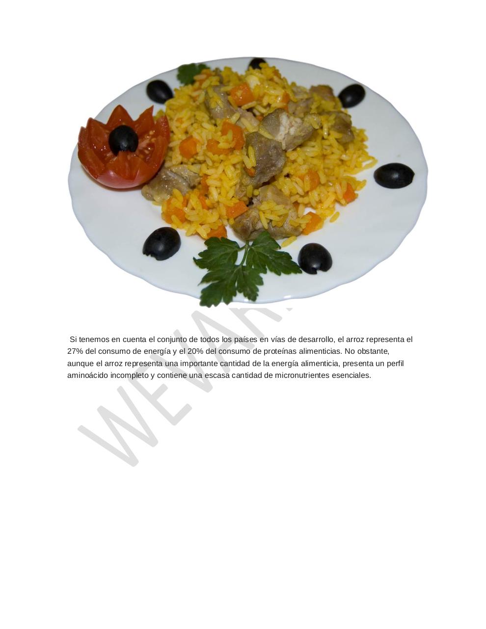 Vista previa del archivo PDF arroz-alimento-importante.pdf