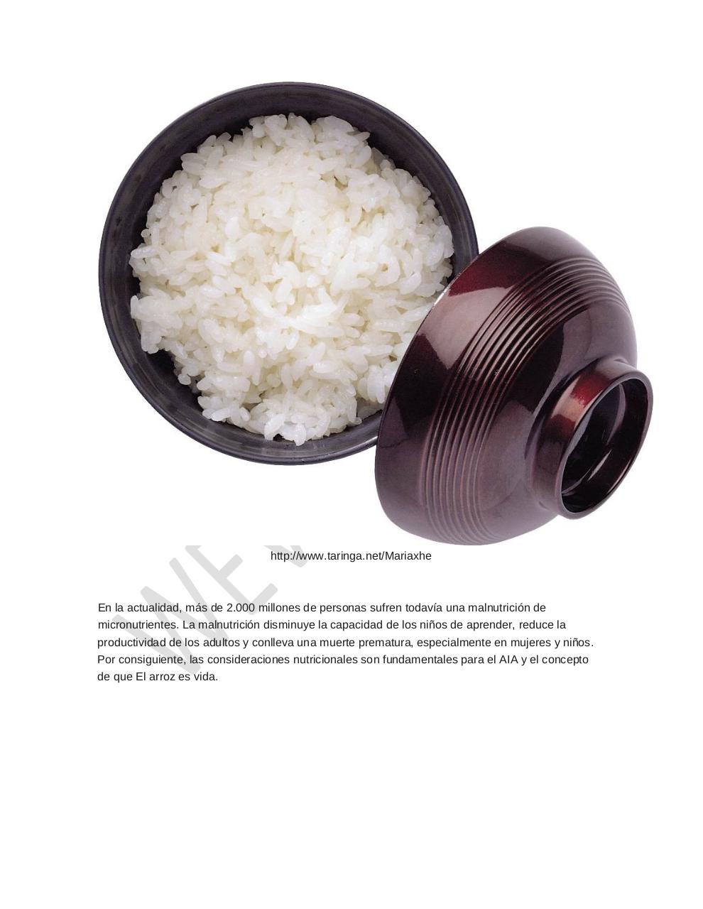 Vista previa del archivo PDF arroz-alimento-importante.pdf