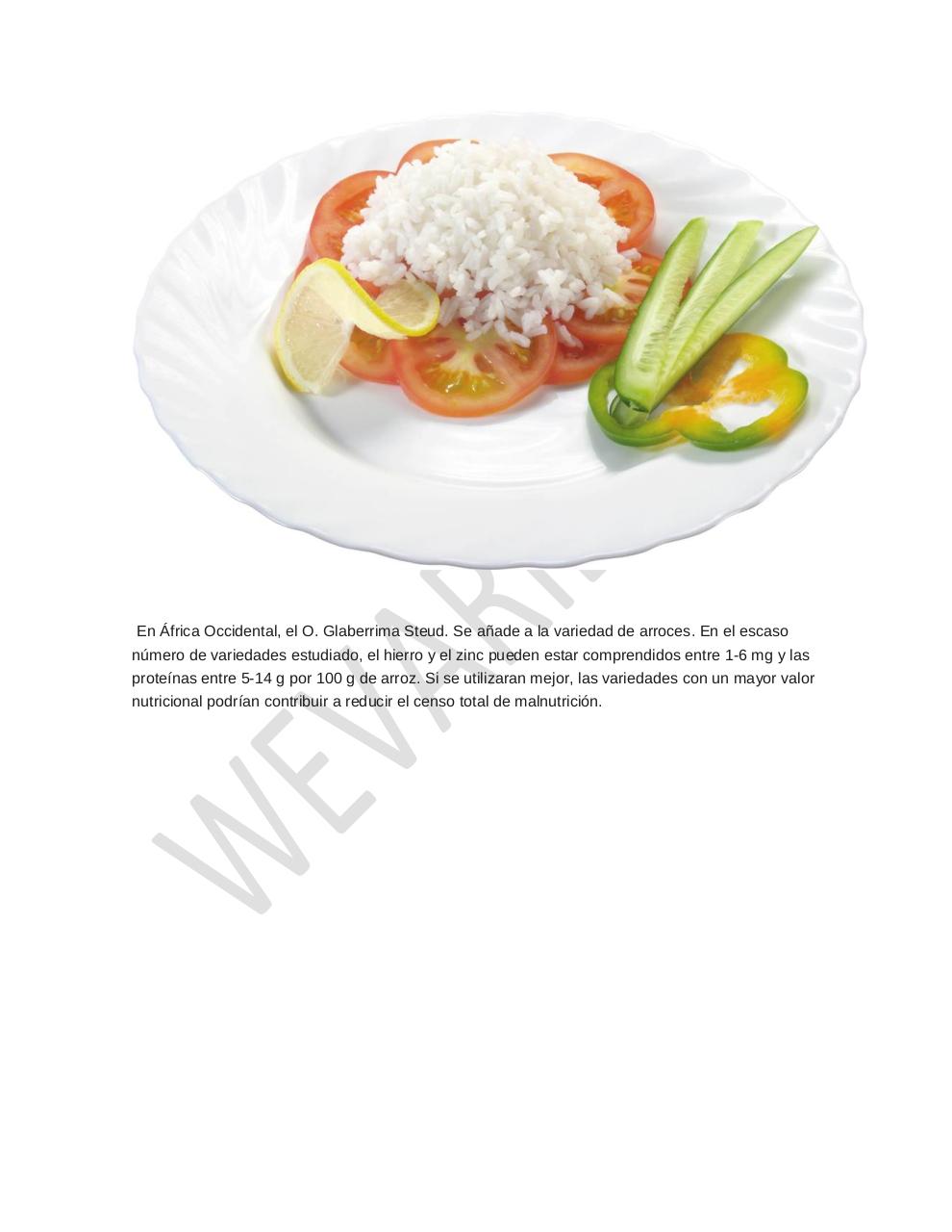 Vista previa del archivo PDF arroz-alimento-importante.pdf