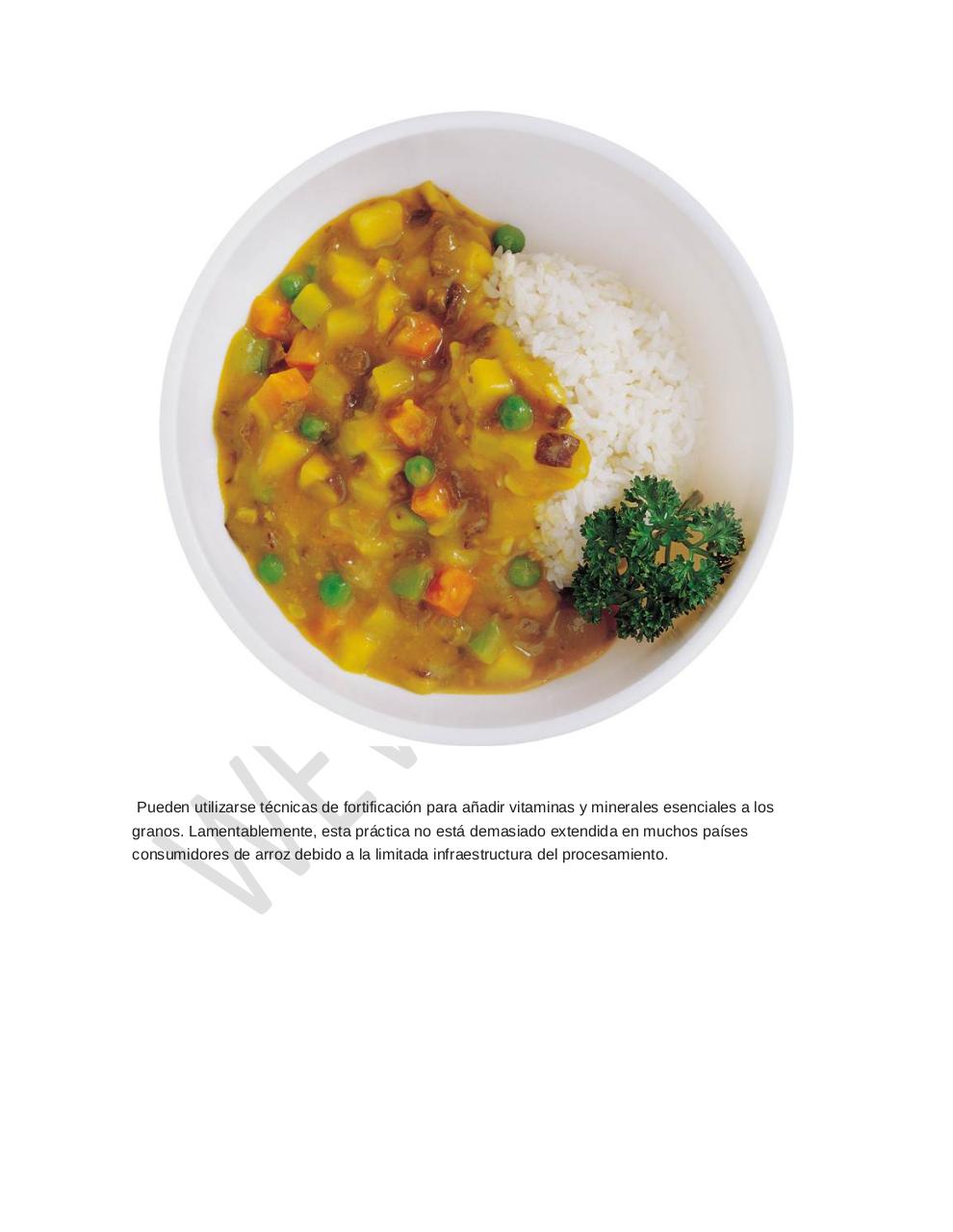 Vista previa del archivo PDF arroz-alimento-importante.pdf