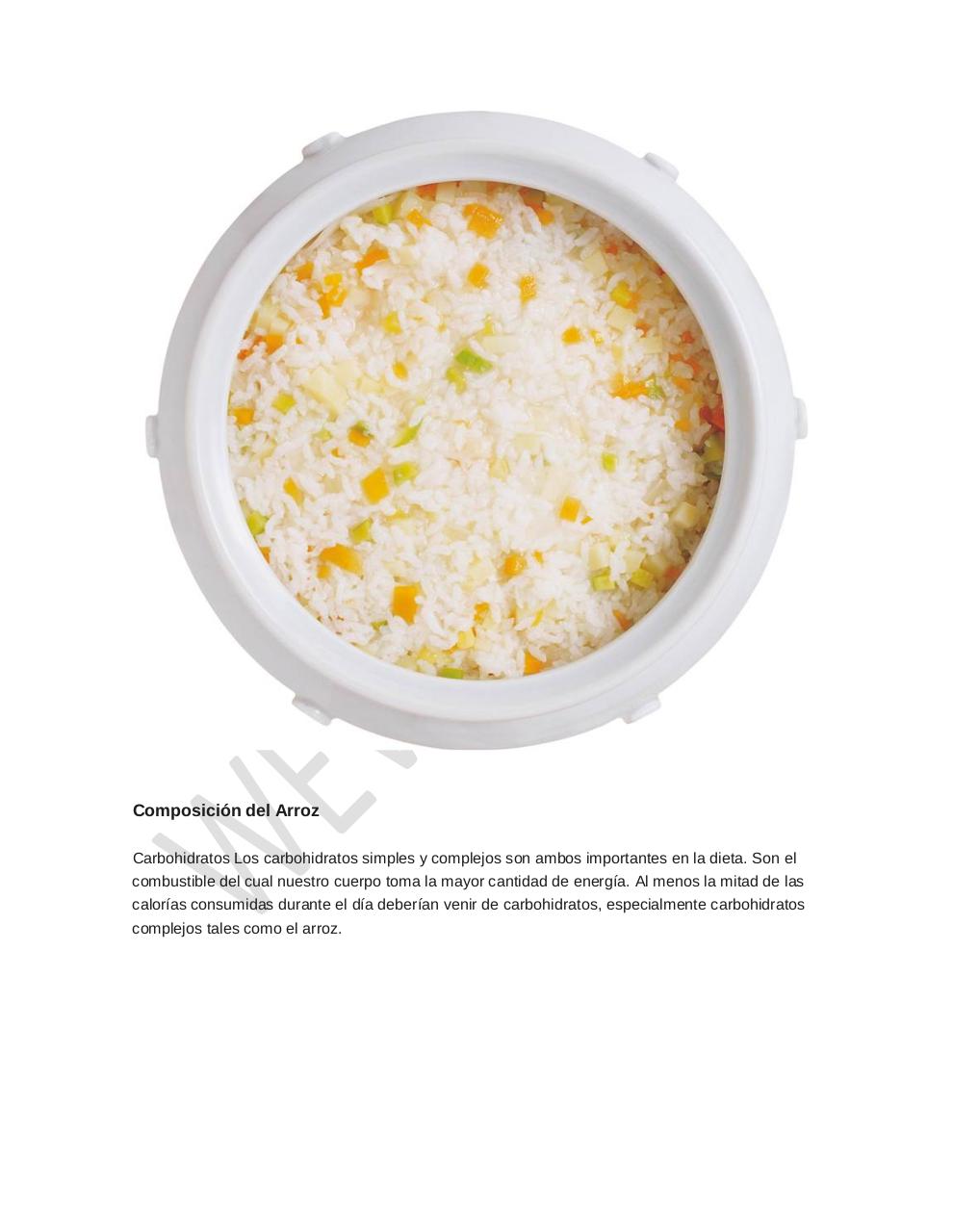 Vista previa del archivo PDF arroz-alimento-importante.pdf