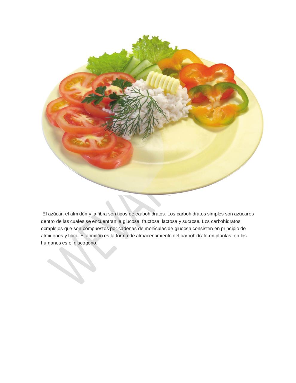 Vista previa del archivo PDF arroz-alimento-importante.pdf