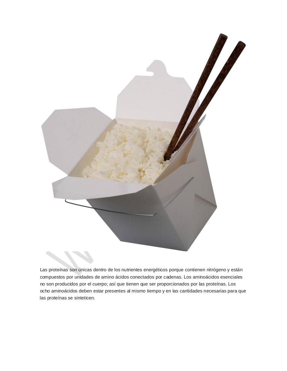 Vista previa del archivo PDF arroz-alimento-importante.pdf