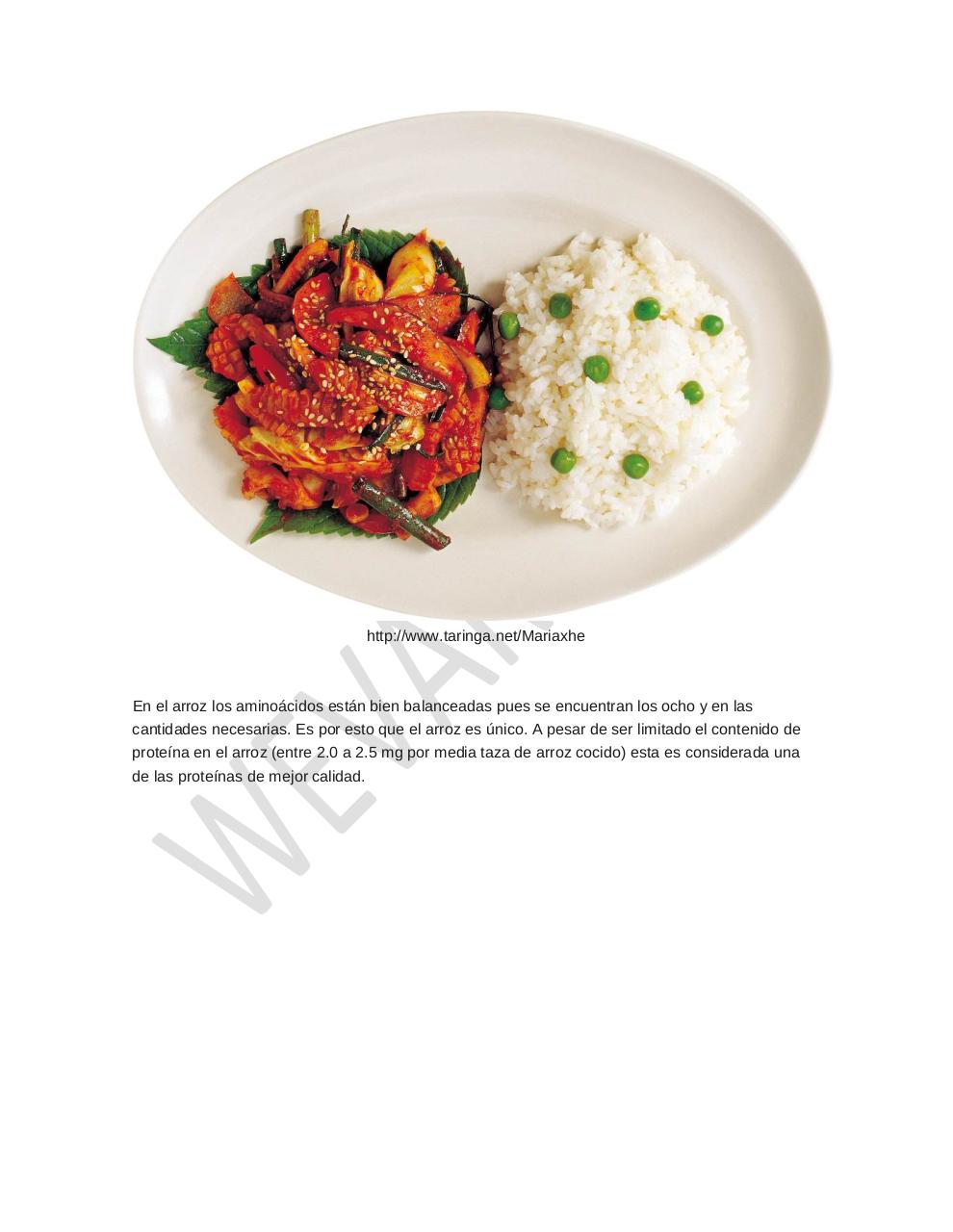 Vista previa del archivo PDF arroz-alimento-importante.pdf