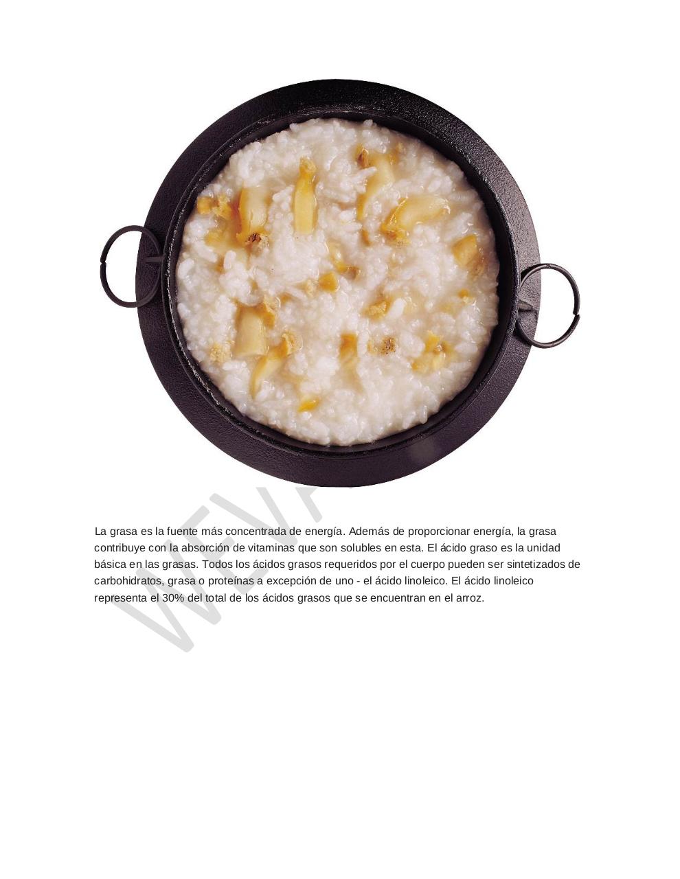 Vista previa del archivo PDF arroz-alimento-importante.pdf