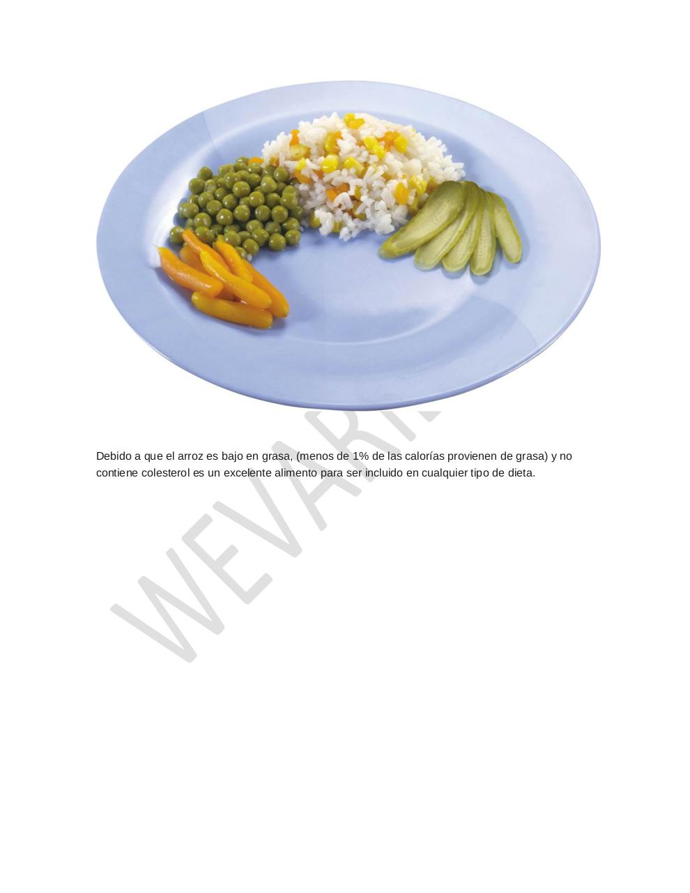 Vista previa del archivo PDF arroz-alimento-importante.pdf