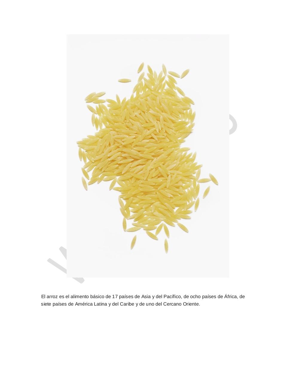Vista previa del archivo PDF arroz-alimento-importante.pdf
