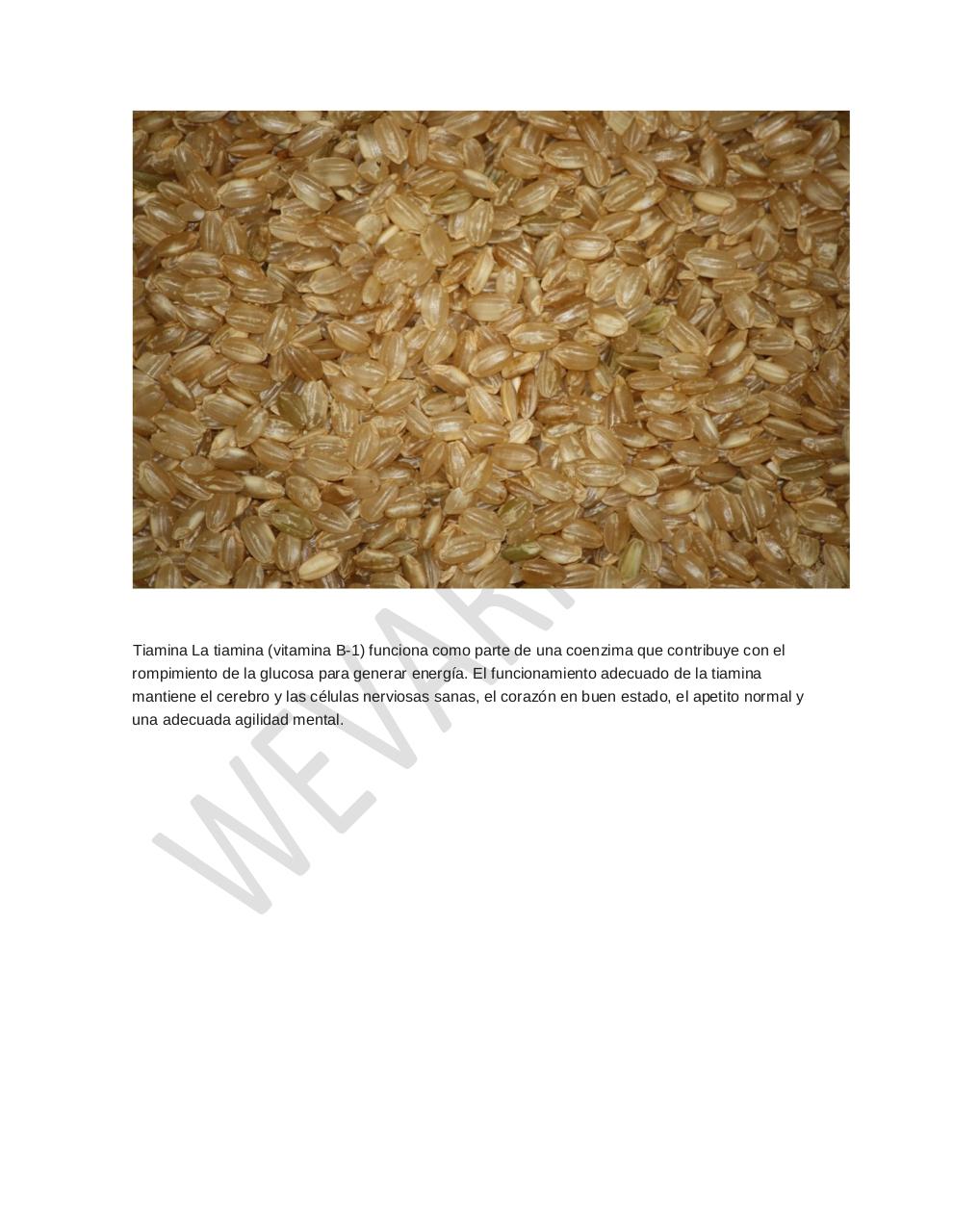 Vista previa del archivo PDF arroz-alimento-importante.pdf