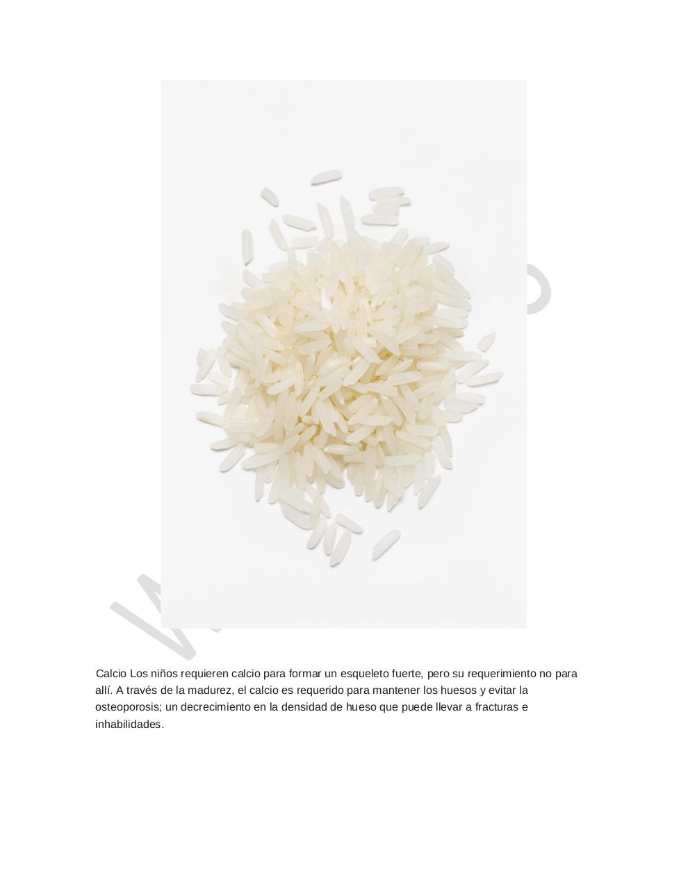 Vista previa del archivo PDF arroz-alimento-importante.pdf