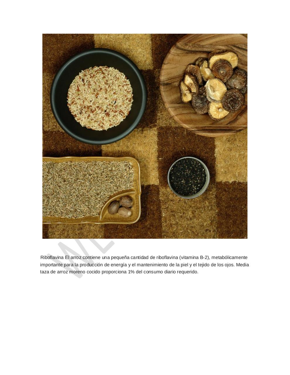 Vista previa del archivo PDF arroz-alimento-importante.pdf